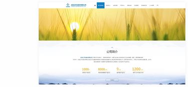 昆明奥远科技 云天化股份的数字化伙伴，一站式网络服务解决方案提供商